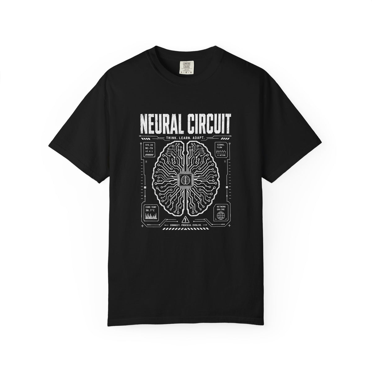 Neural Circuit