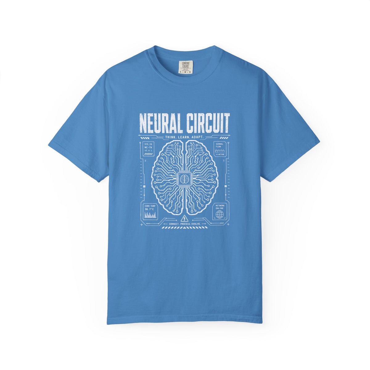 Neural Circuit