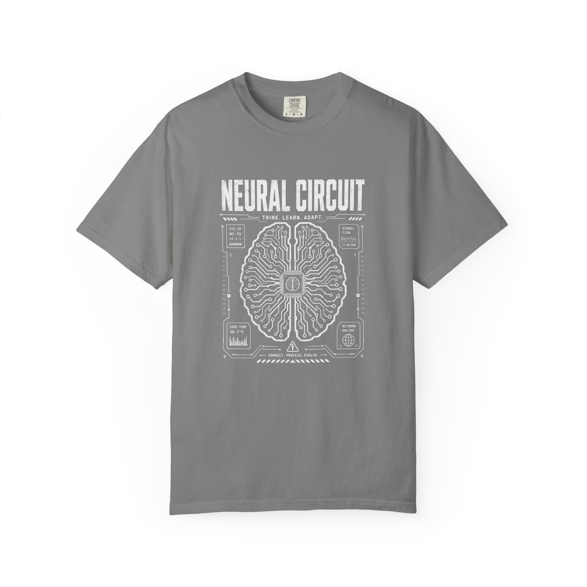 Neural Circuit