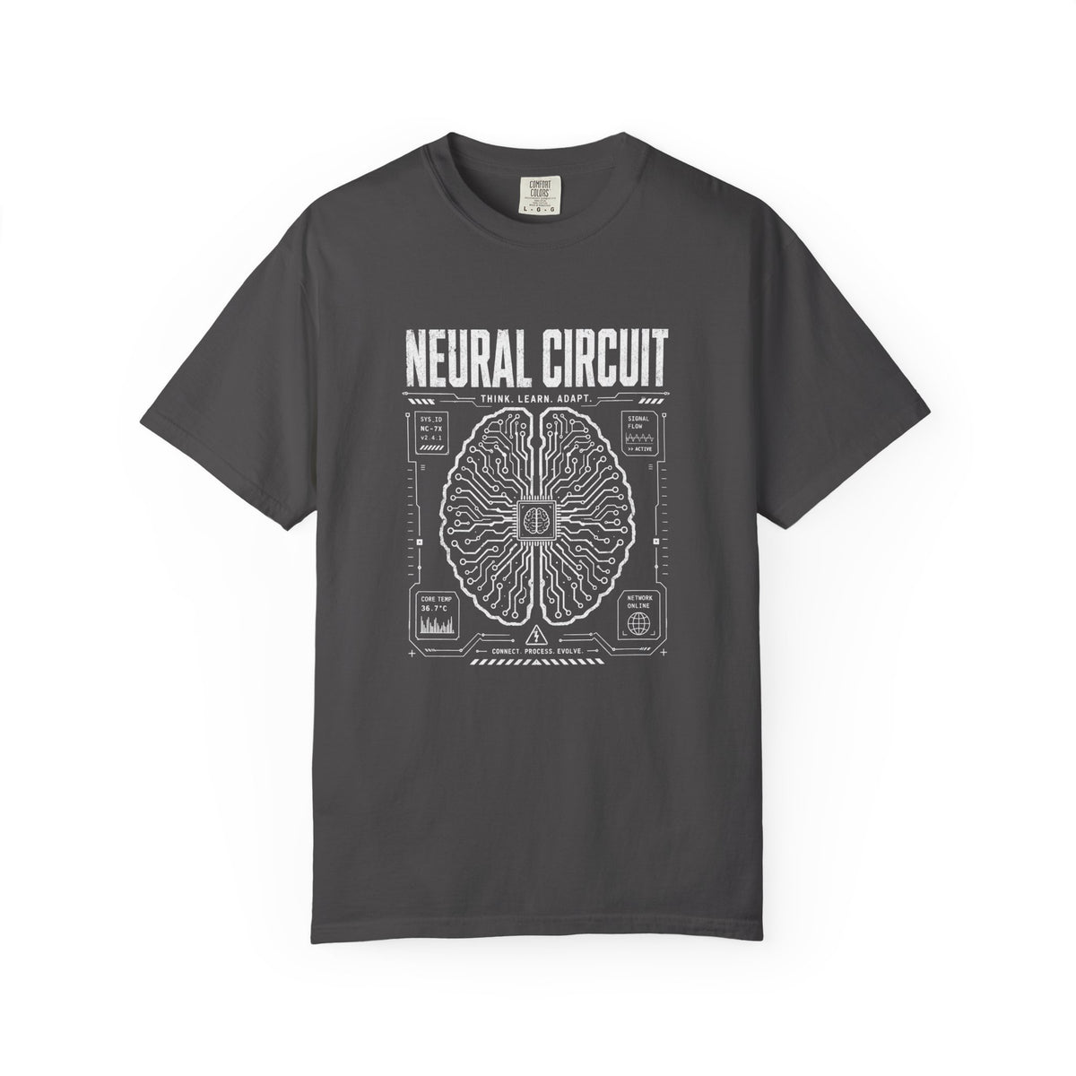 Neural Circuit