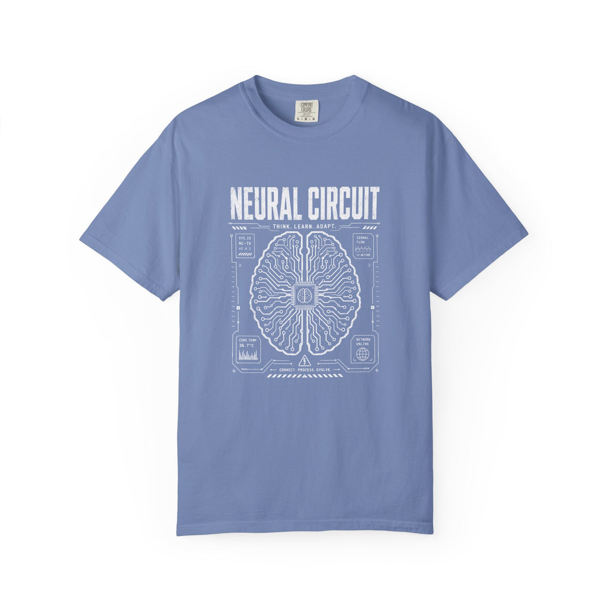 Neural Circuit