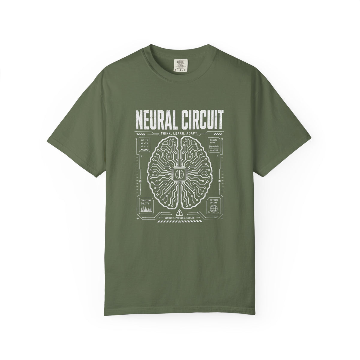 Neural Circuit