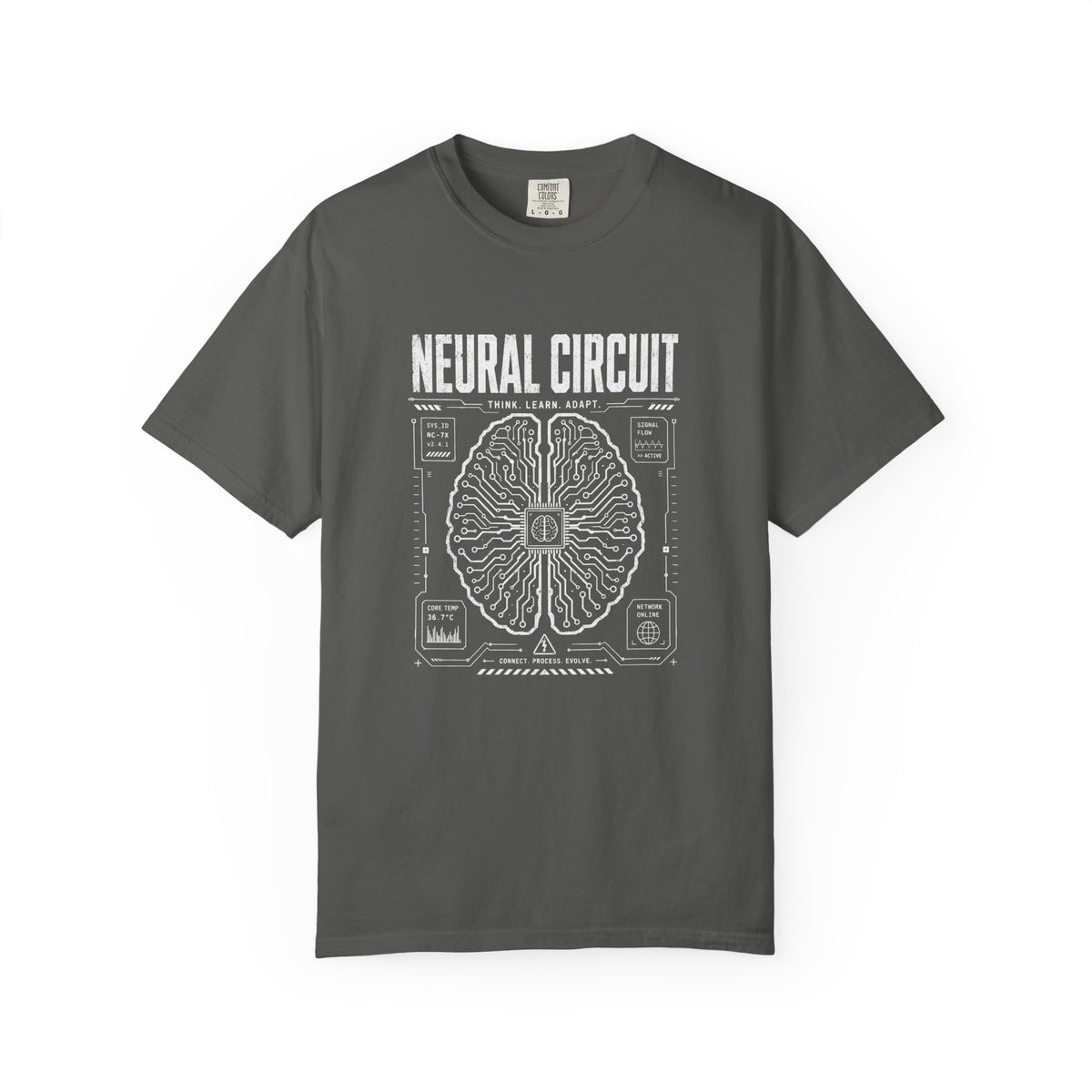 Neural Circuit