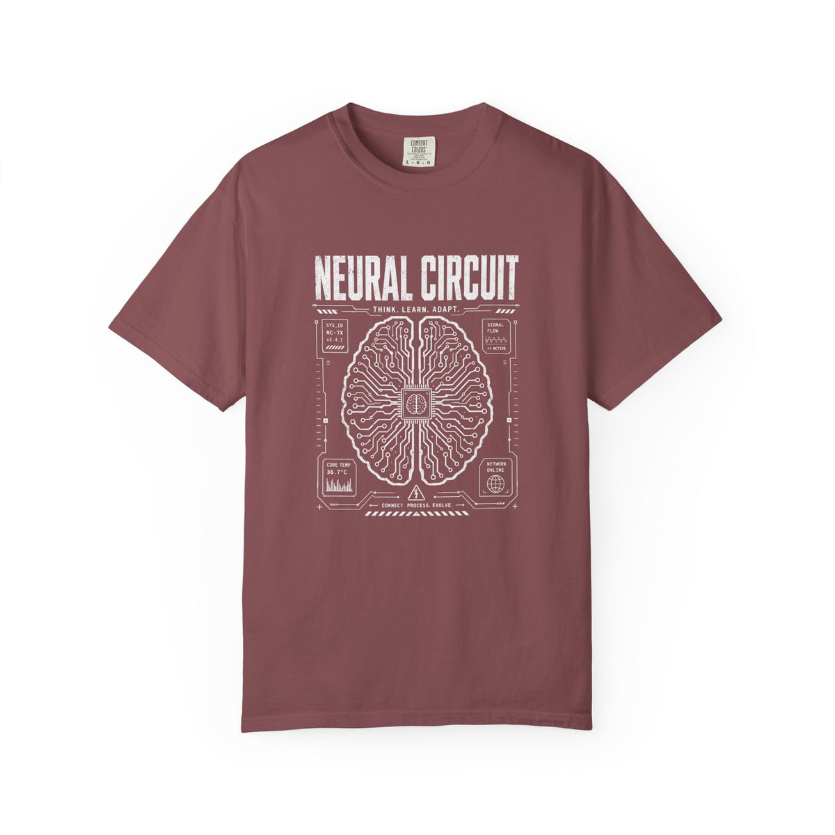 Neural Circuit
