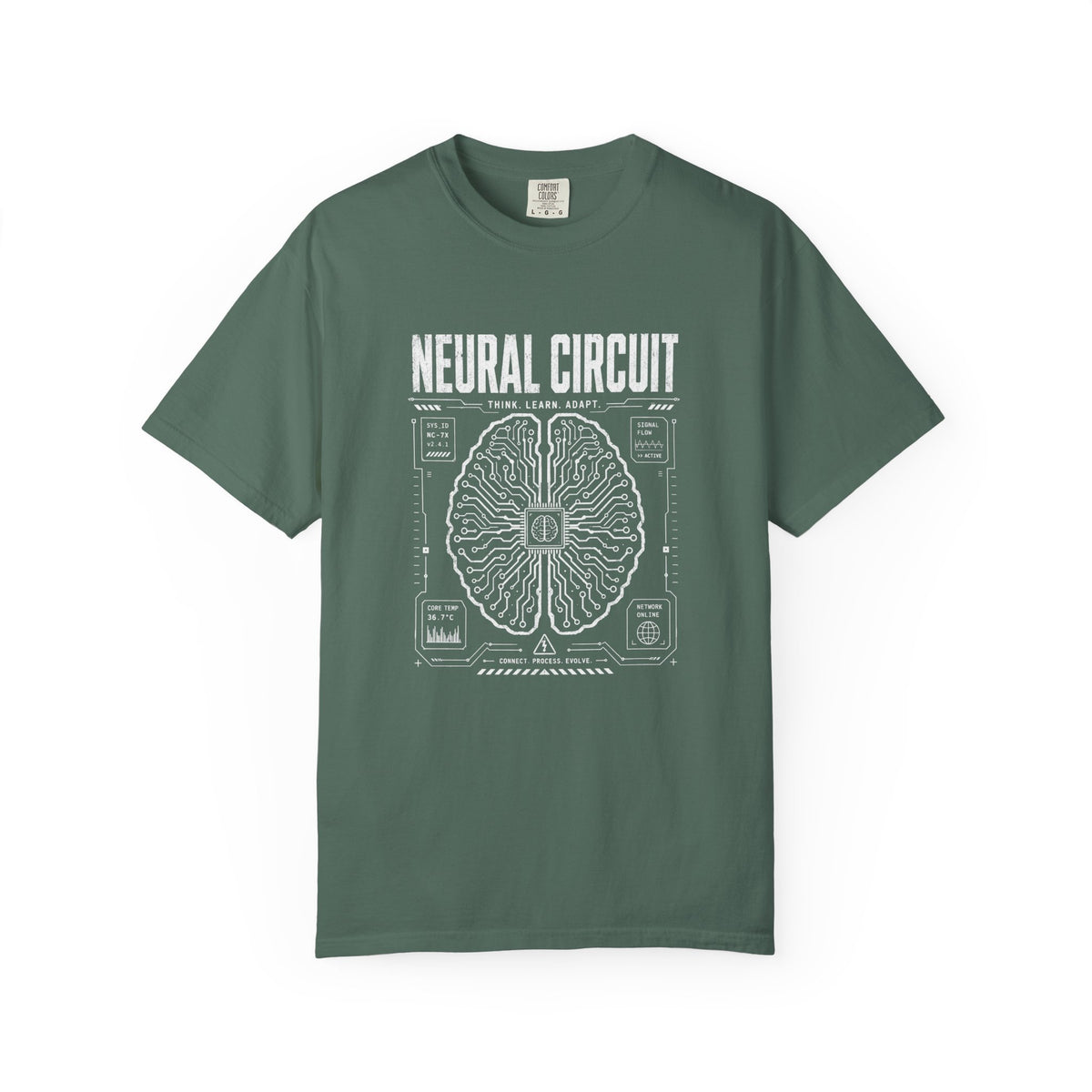 Neural Circuit