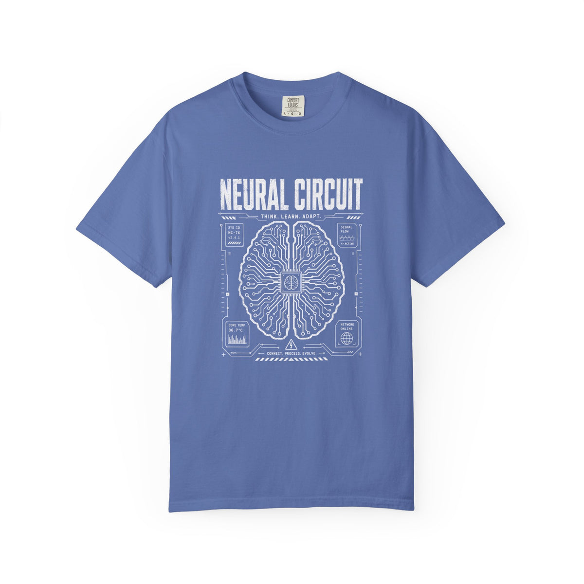 Neural Circuit